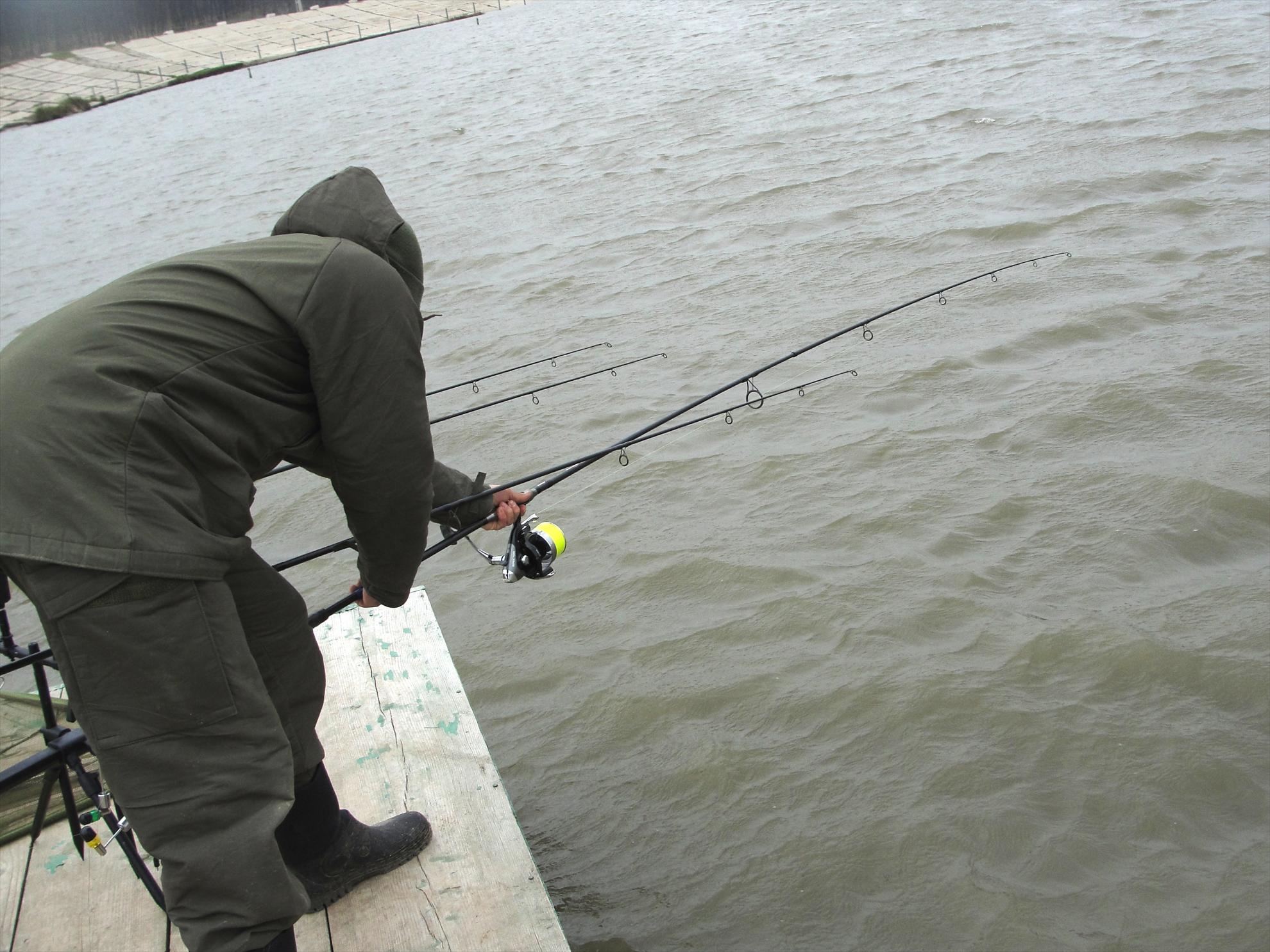 de la A la Z - dsc09426.JPG